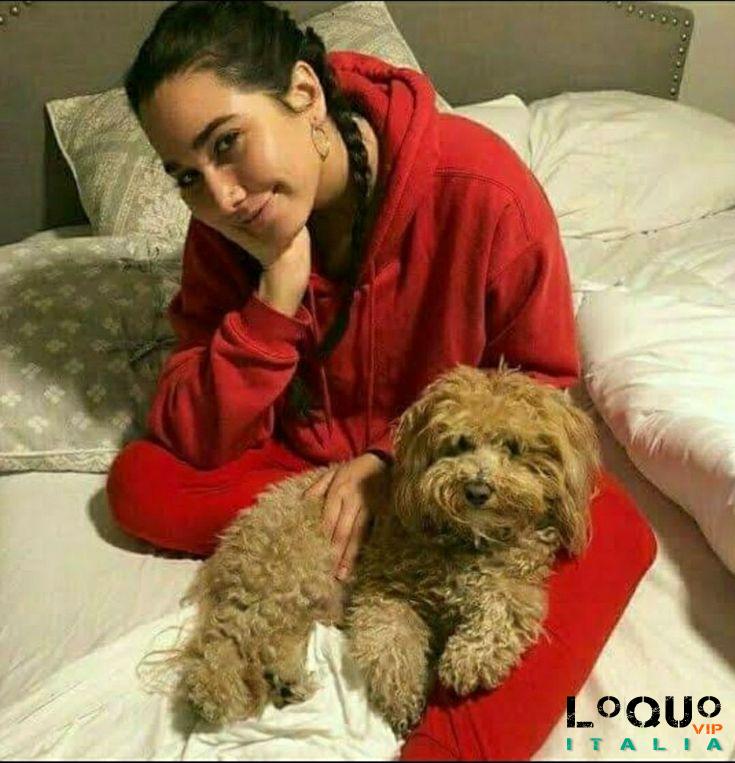 Escort Udine: Sono disponibile adesso Udine